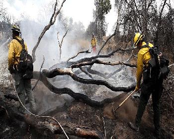 California Yangınlarında Ölü Sayısı Artıyor.