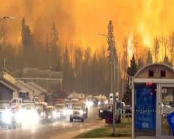 Kanada’Daki Orman Yangını 