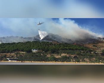 Marmara Adası’nda Orman Yangını