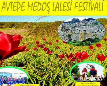 Medoş Lalesi Festivali Yarın Avtepeköy Meydanında Yer Alacak