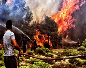 Yunanistan Tarihindeki En Ölümcül Yangın Felaketinde Ölü Sayısı Artıyor