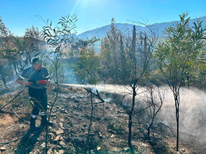 Ergenekon’da ormanlık alanda çıkan yangın söndürüldü