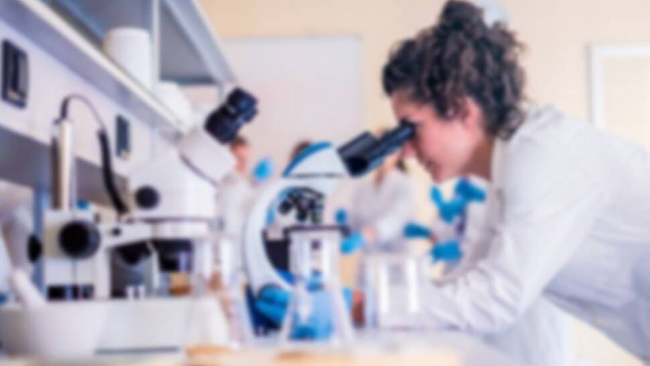 İthal siyah üzümde limit üstü, molehiyada ise tavsiye dışı bitki koruma ürünü