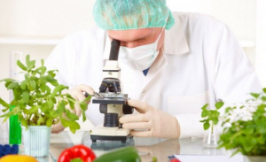 Gıda denetimlerinde 3 ürüne imha kararı!